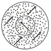 Computational Vision of Orientation and Motion