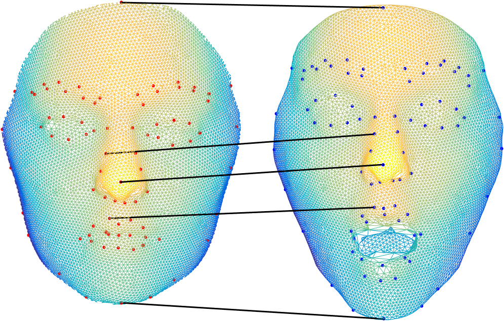 face correspondence