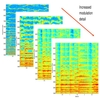 Subband modulation processing